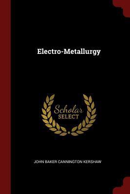Electro-Metallurgy 137577297X Book Cover