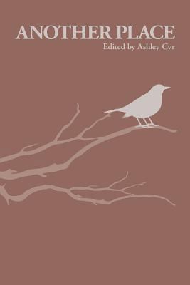 Another Place: Brief Disruptions 0994921039 Book Cover