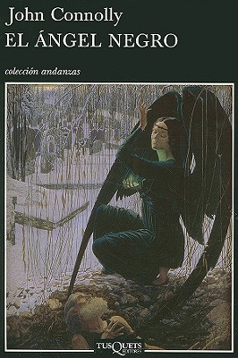 El ángel negro (Spanish Edition) [Spanish] 8483830027 Book Cover