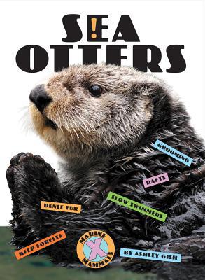 Sea Otters 1640261923 Book Cover