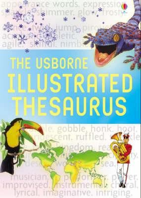 Illustrated Thesaurus (Usborne Illustrated Dict... 0746087160 Book Cover