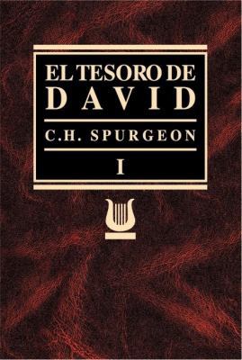 El tesoro de David. Vol. 1 (Spanish Edition) [Spanish] 848267367X Book Cover