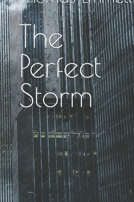 The Perfect Storm B0CQSQF1GX Book Cover