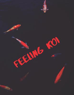 Feeling Koi 1099841100 Book Cover