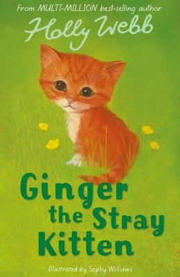 Ginger the Stray Kitten. Holly Webb 1847150799 Book Cover