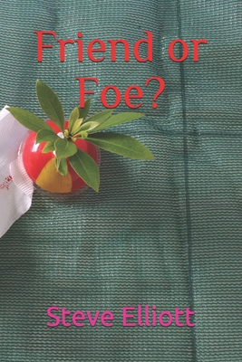 Friend or Foe? B08N3K5CGT Book Cover