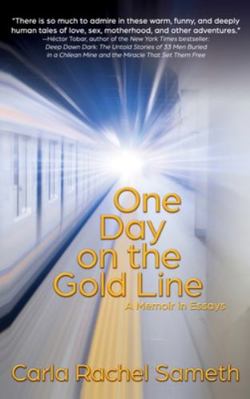 One Day on the Gold Line: A Memoir in Essays 1944715738 Book Cover