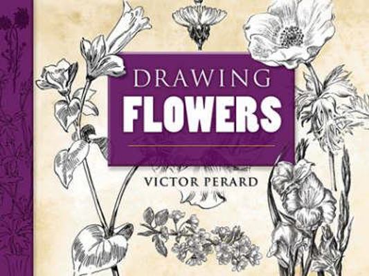 Drawing Flowers 0486469093 Book Cover