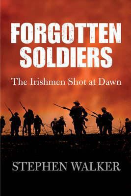 Forgotten Soldiers: The Irishmen Shot at Dawn 0717141829 Book Cover