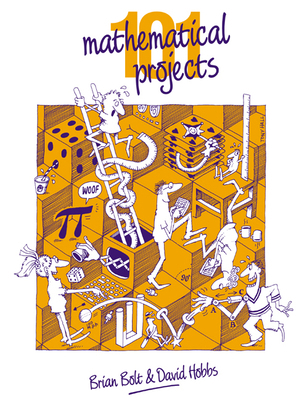 101 Mathematical Projects 0521347599 Book Cover