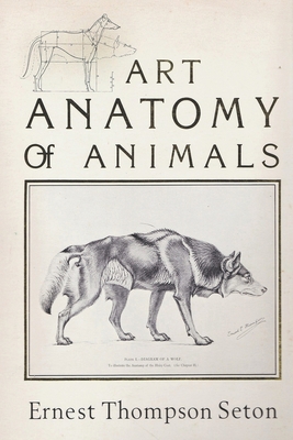 Art Anatomy of Animals B08KTQJ85B Book Cover