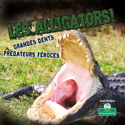Les Alligators! Grandes Dents, Prédateurs Féroc... [French] 1039608140 Book Cover