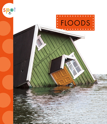 Floods 1681525909 Book Cover