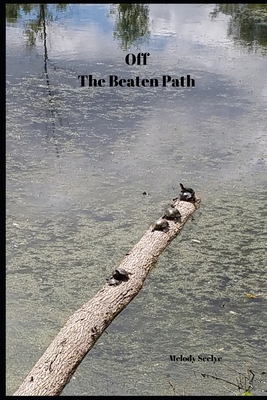 Off The Beaten Path: 4 year Blood Glucose Tracker B084DH5K3W Book Cover