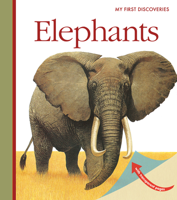 Elephants 1851034730 Book Cover