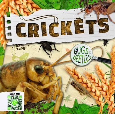 Crickets (Bugs and Beetles) 1786377233 Book Cover