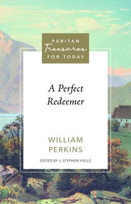 A Perfect Redeemer            Book Cover