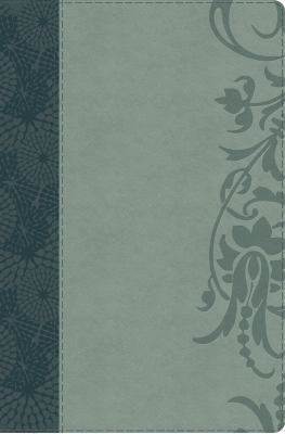 Study Bible for Women-HCSB-Large Print [Large Print] 1433607697 Book Cover