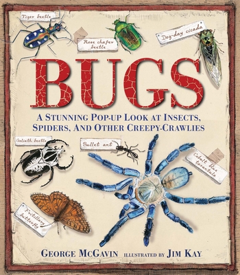 Bugs: A Stunning Pop-Up Look at Insects, Spider... 0763667625 Book Cover