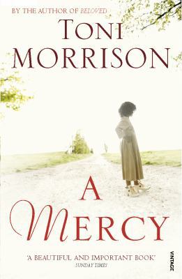 A Mercy 0099535335 Book Cover