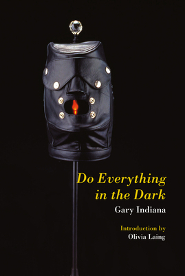 Do Everything in the Dark 1635901863 Book Cover