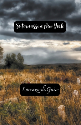 Se tornassi a New York [Italian] B0CSNBX87T Book Cover