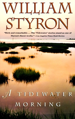 A Tidewater Morning 0679754490 Book Cover