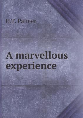 A Marvellous Experience 5519015872 Book Cover