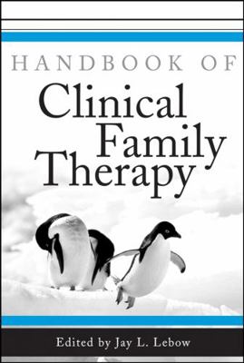 Handbook of Clinical Family Therapy 0471431346 Book Cover