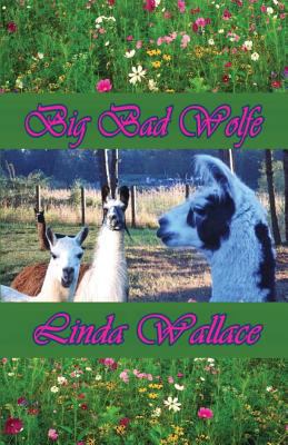 Big Bad Wolfe 1590885430 Book Cover