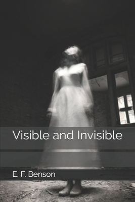 Visible and Invisible 1703901185 Book Cover
