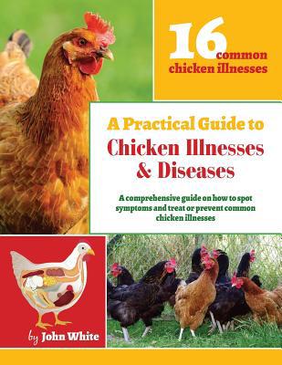 A Practical Guide to Chicken Illnesses & Diseases 1508675007 Book Cover