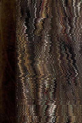 Fables of Aesop 1435749359 Book Cover