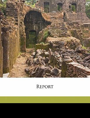 Report 1173245065 Book Cover