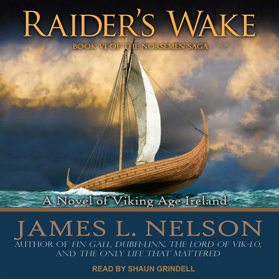 Raider's Wake: A Novel of Viking Age Ireland 1541462939 Book Cover