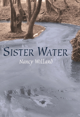 Sister Water 0814332447 Book Cover