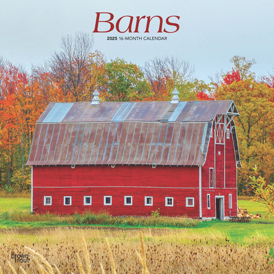 Barns 2025 12 X 24 Inch Monthly Square Wall Cal... 197547449X Book Cover