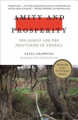 Amity and Prosperity: One Family and the Fractu... 1250215072 Book Cover