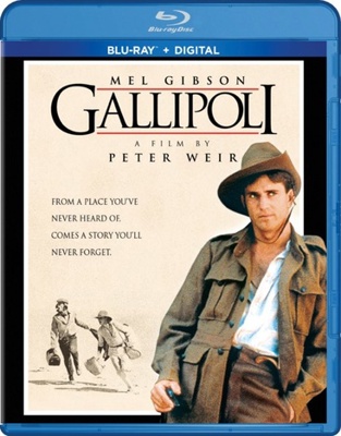 Gallipoli B0BM48BJH3 Book Cover