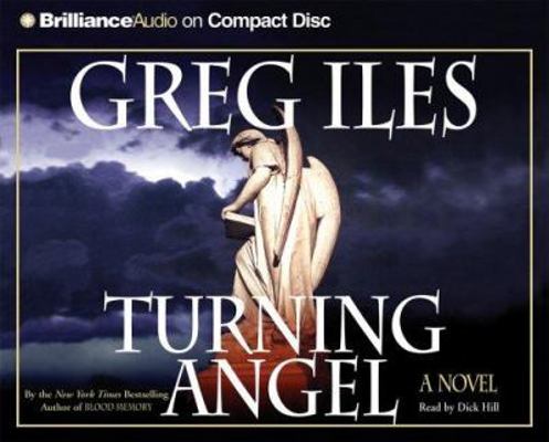 Turning Angel 1596008784 Book Cover