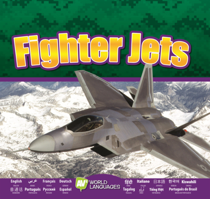Fighter Jets B0GN6TZBGC Book Cover