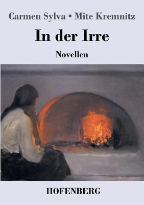 In der Irre: Novellen [German] 3743717239 Book Cover
