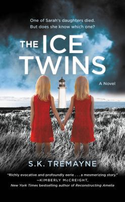 The Ice Twins 1455571024 Book Cover