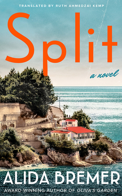 Split B0BRXN7YNK Book Cover