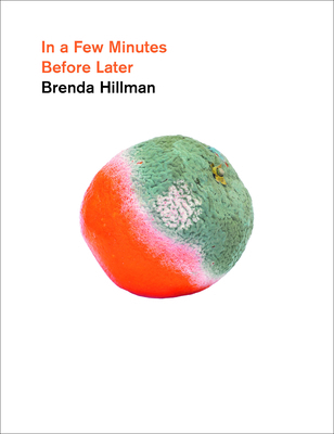 In a Few Minutes Before Later 0819500151 Book Cover