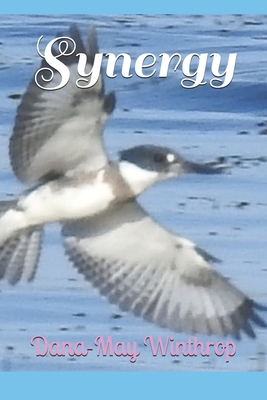 Synergy 1711145920 Book Cover