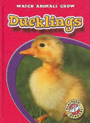 Ducklings 1600141676 Book Cover