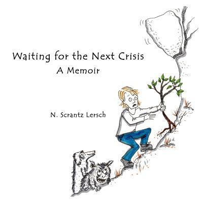 Waiting for the Next Crisis: Vexing and Poignan... 061573166X Book Cover