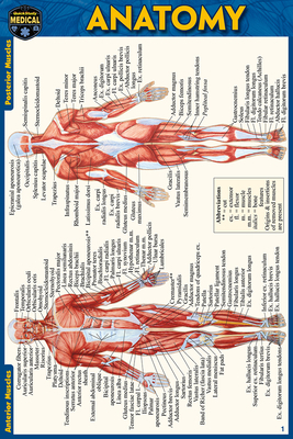 Anatomy Pocket-Sized Reference Guide (4x6 Inches) 1423242661 Book Cover