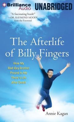 The Afterlife of Billy Fingers: How My Bad-Boy ... 1491534591 Book Cover